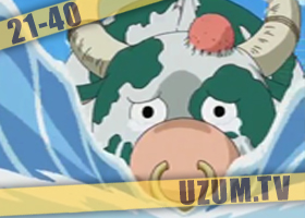 One Piece 21-40 / Ван Пис 21-40